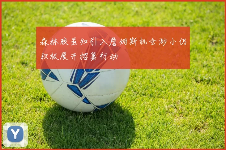 森林狼虽知引入詹姆斯机会渺小仍积极展开招募行动